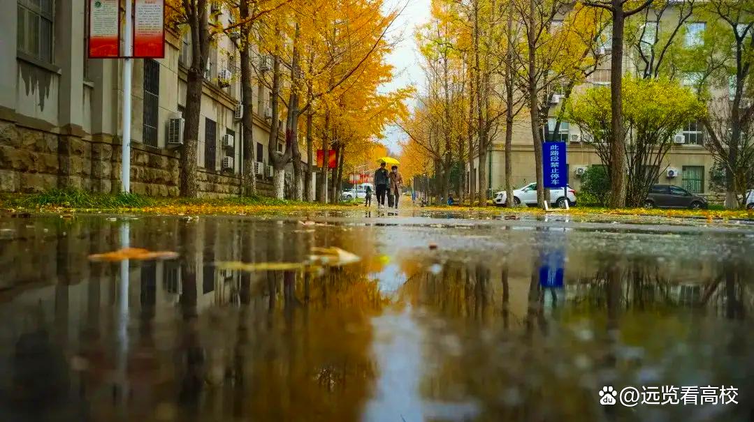 山东农业大学历史沿革(1959年山东农业大学改为山东农学院) - 中职