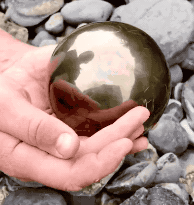 世界灭绝的动物名单，世界灭绝的动物名单网站（30张活久未见的照片）