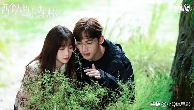 最值得看的十部电视剧，爱奇艺最值得看的十部电视剧（目前网络热度最高的10部剧）