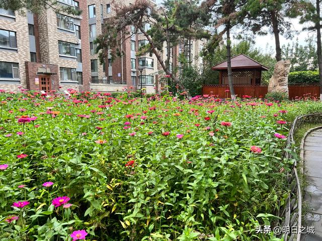 长春疫情最新消息，长春疫情最新消息今天封城了（不静默之后又一“定心丸”来了）