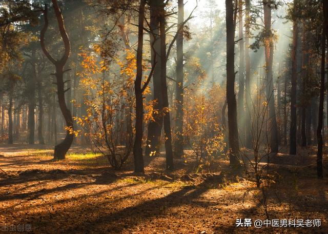 为什么女生结婚第二天起不来，为什么现在90后的女生都不愿意结婚（本质还是命门之火不能持续性地燃烧）