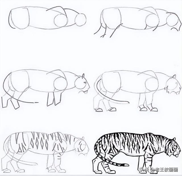 怎么画鱼最简单又好看，鱼简笔画彩色（25个动物简笔画教程分享给你）