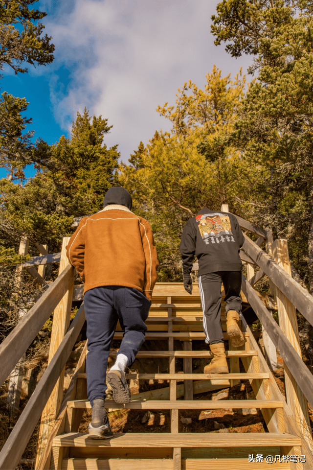 青色和蓝色的区别图片，青色和蓝色是什么颜色的图片（在照片中创造性地使用色调对比）