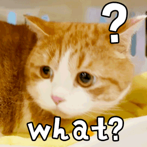 气球棒棒糖，你有没有参与过这种“人气投票”（气球棒棒糖教程）