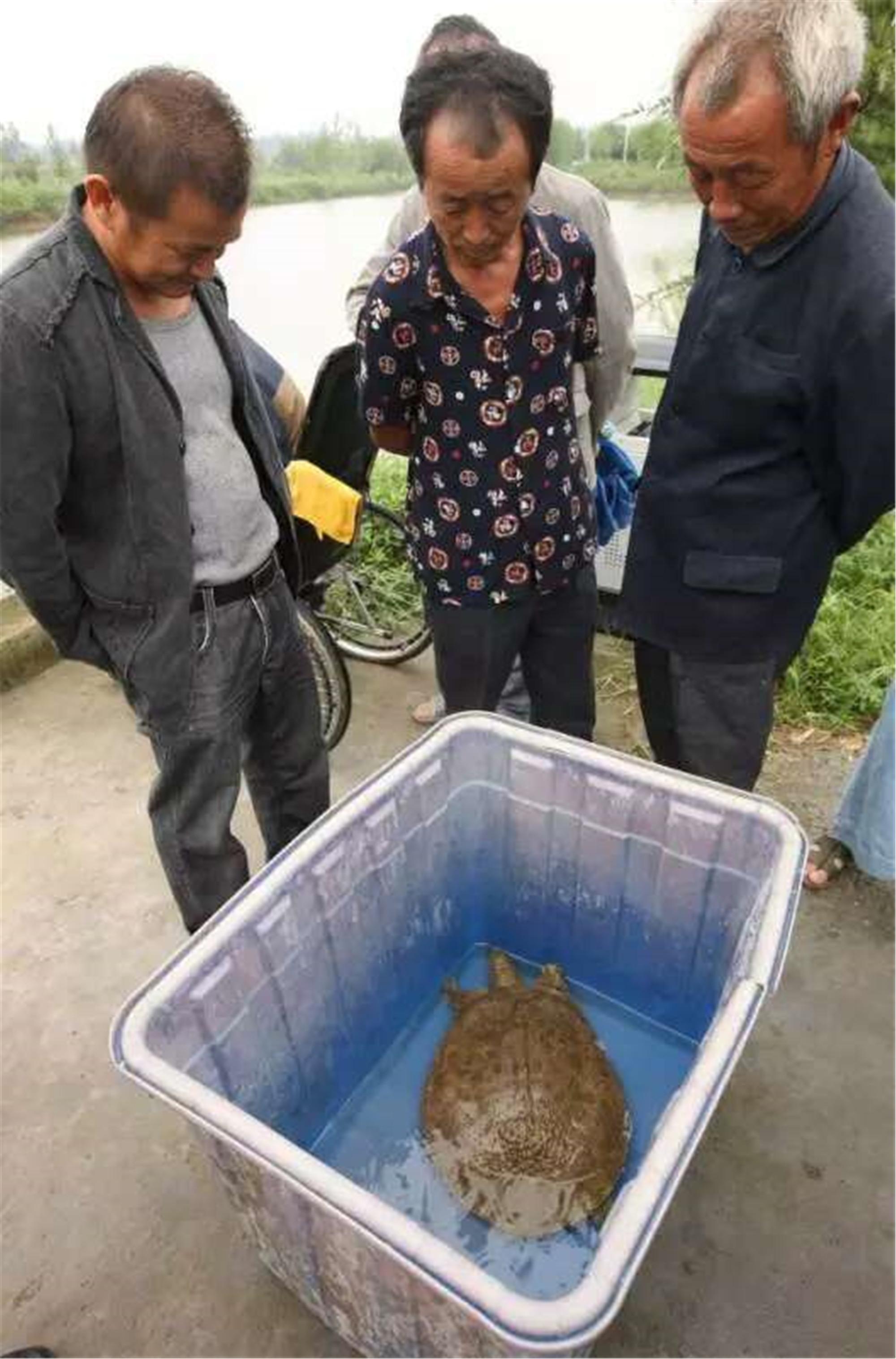 釣甲魚視頻(男子釣甲魚有絕招) - 去釣魚