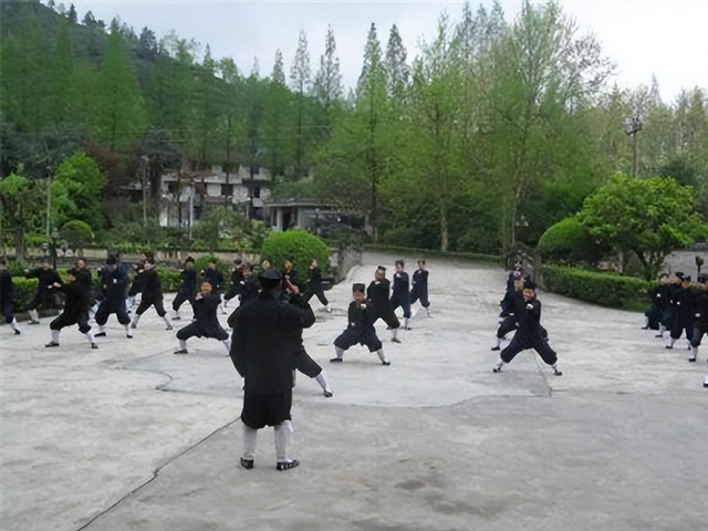 全国十大气功大师排名，手劈鹅卵石称用内力战胜泰森