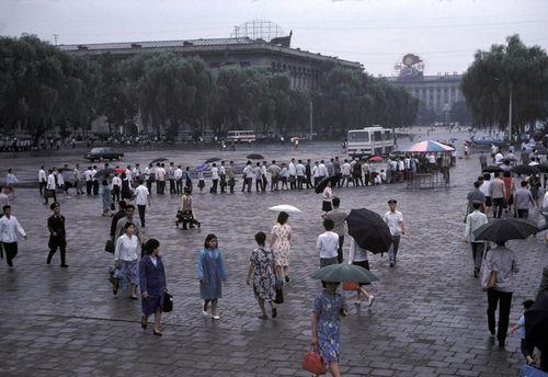 蔚华（85年金日成接见吉林兄妹）