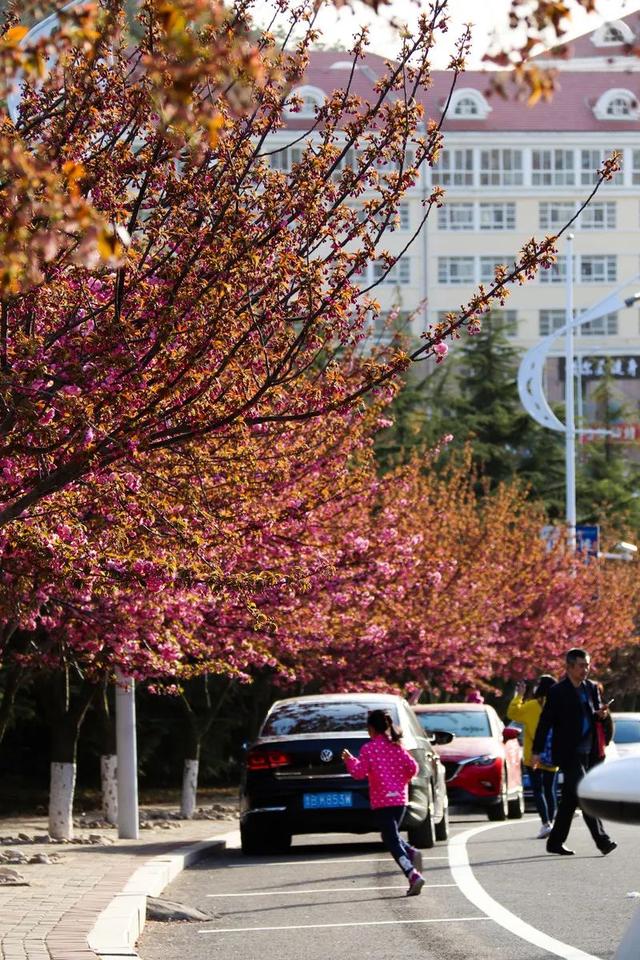 带你走一趟最美大学，中国最美的10所大学