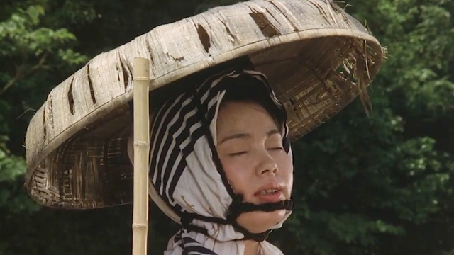 鹤川-网名，鹤川-（将世界的肮脏都拍了出来）