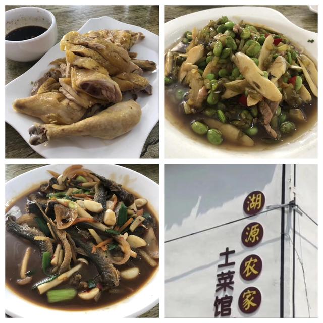 吃货进行曲歌词，吃货养成记：二零一九