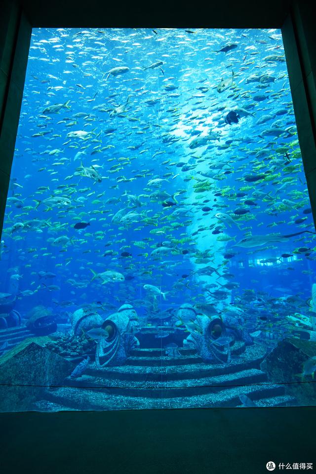 亚特兰蒂斯在哪里，亚特兰蒂斯在哪（“人傻钱多”的三亚亚特兰蒂斯）