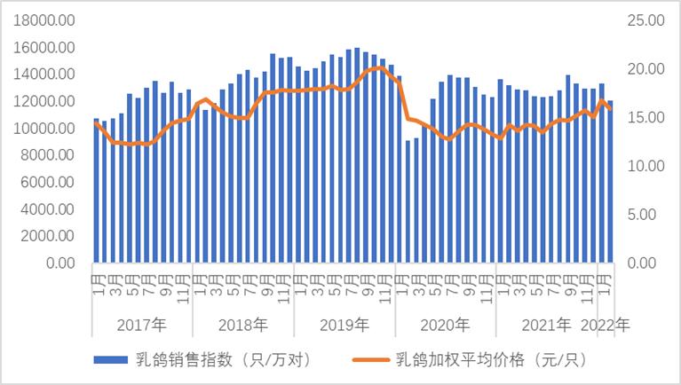 2022年养鸽子前景怎么样，全国鸽产品价格行情走势