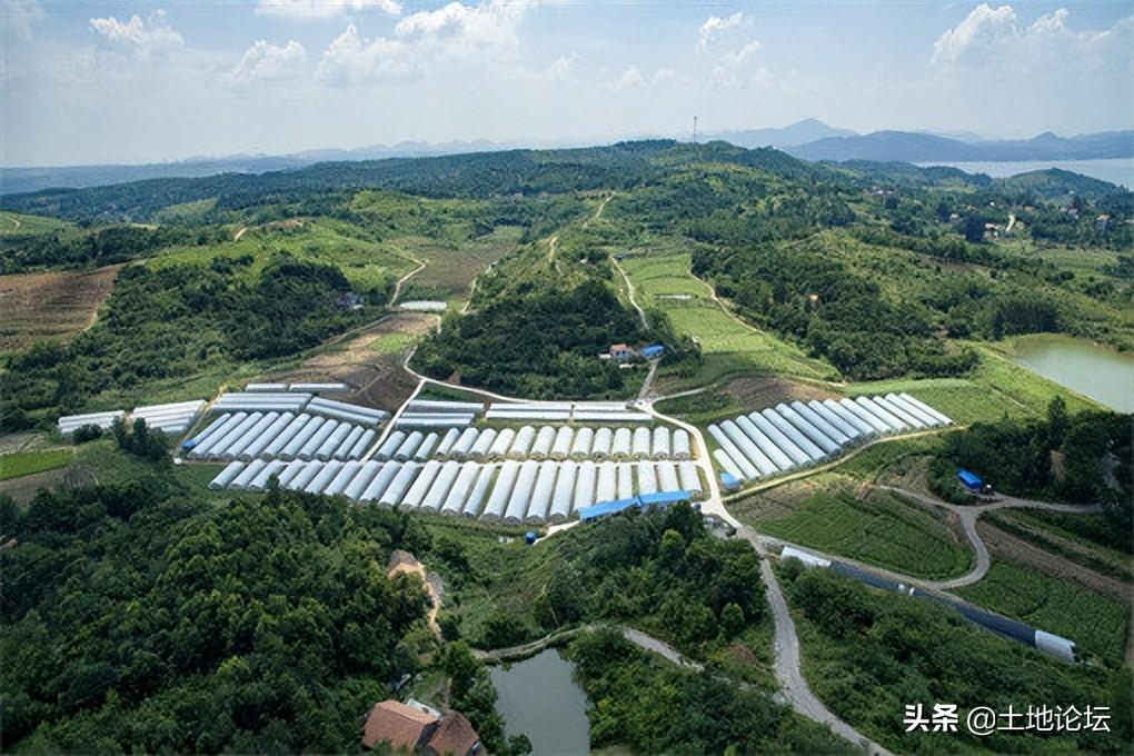 最新创业项目(2022年什么共享项目好做)