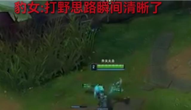 lol怎么发信号，lol怎么发信号示意队友撤退（男枪上来就偷红buff）