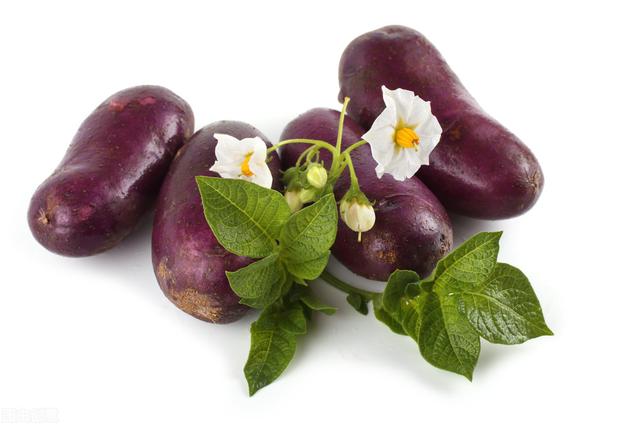 土豆什么时候种，土豆什么时候种好（如何选择特色土豆品种）