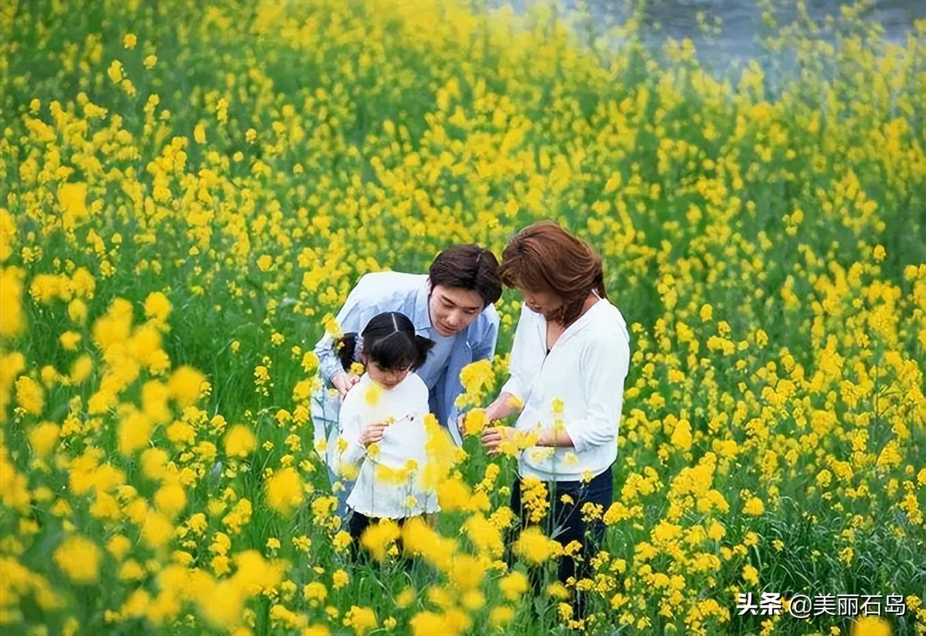 清明节扫墓的来历，清明节扫墓的来历和风俗（清明节祭祀与踏青的由来）