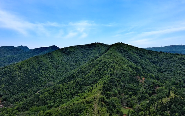 郑州一日游必去的地方，郑州景点排行榜（2022郑州夏季最值得去的六大景点推荐）