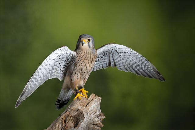 别人不尊重你你要怎样对待，当别人不尊重你时怎么办（看看职场高手怎么做的）