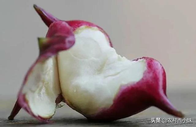 菱角怎么吃容易剥开壳，菱角要剥壳煮吗（菱角怎么剥壳最简单）