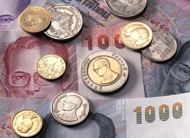 海苔（海苔亿万富翁，靠卖海苔2年内赚4000万（买海苔的亿万富翁）