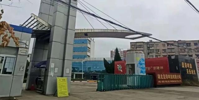 蓝带啤酒价格表，蓝带啤酒价格表一瓶（湖北蓝带啤酒有限公司）