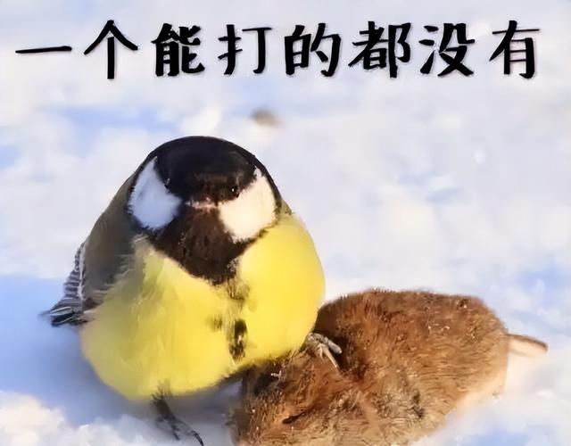 传奇游戏人物名字，传奇人物名字（还同时获得天龙剑和天龙衣）