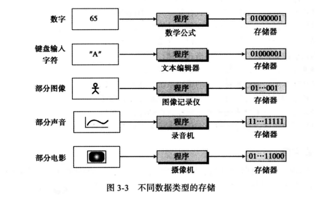 以文本形式储存的数字怎么设置，office如何设置数字以文本形式储存（计算机内的数据是如何存储的及计算机内部的数据格式）
