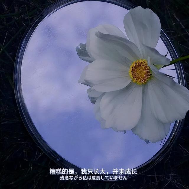 好看可爱的头像，干净好看可爱头像微信（朋友圈背景图文字~励志可爱干净的图片）