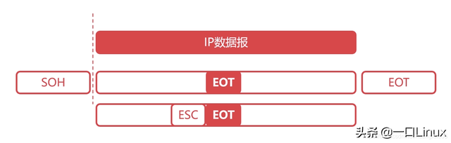 计算机网络的功能，计算机网络基本功能有哪些（计算机网络知识点全面总结）