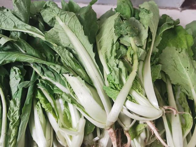 包菜包子馅配料怎么配，菜包子馅料配方（遇到此菜别错过）