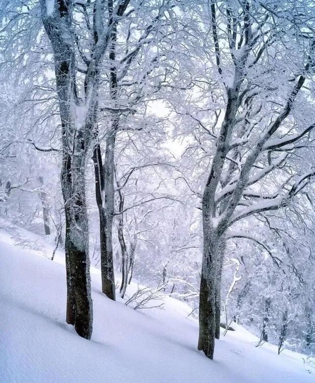 成都周边雪景一日游景区推荐，成都周边7个最佳赏雪胜地