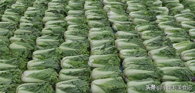 青菜怎么保存新鲜不烂，青菜洗完怎么保存新鲜不烂（不烂帮不黄叶不长芽）