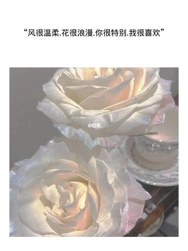 浪漫而不烂俗的高级文案配图，浪漫而不烂俗的高级文案配图素材（浪漫而不烂俗的高级文案<一>）