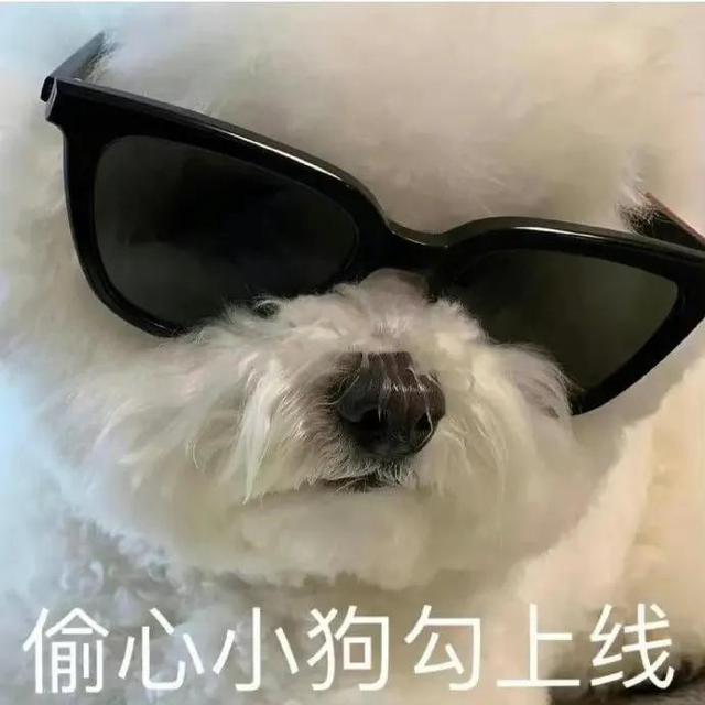 哼唧唧歪歪，微信头像，哼唧唧歪歪（猫猫狗狗表情包/哼哼）