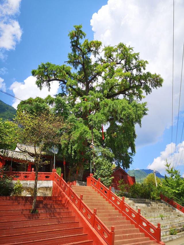 秦岭云屏景点介绍，云屏三峡风景区——秦岭深处的避暑圣地