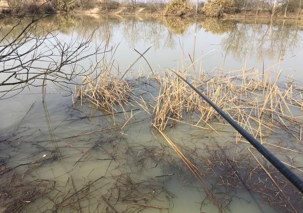春钓鲫鱼绝密技巧，春钓鲫鱼切勿到了水边就开钓