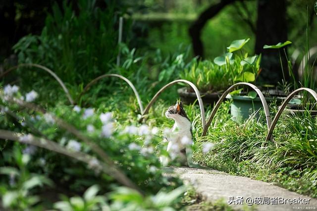 处事圆滑的技巧，教你处事圆滑的四大技巧