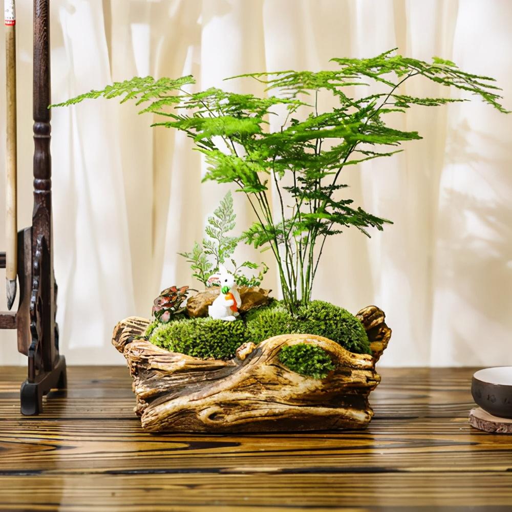大气聚财的字(大气聚财的公司名称)