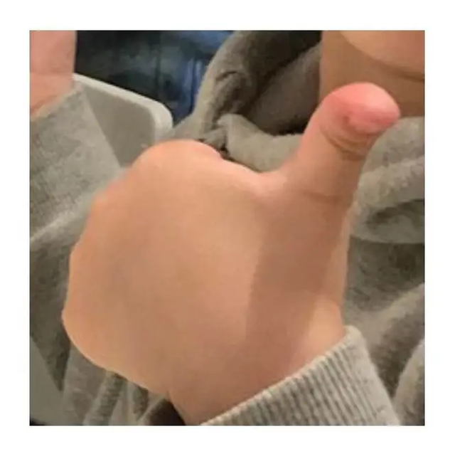 令人哭笑不得的南极企鹅，小企鹅迷路竟从南极游3000公里到新西兰