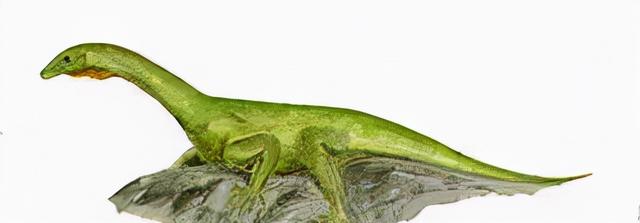 恐龙图片大全大图，画恐龙图片大全大图（画恐龙怎么画）