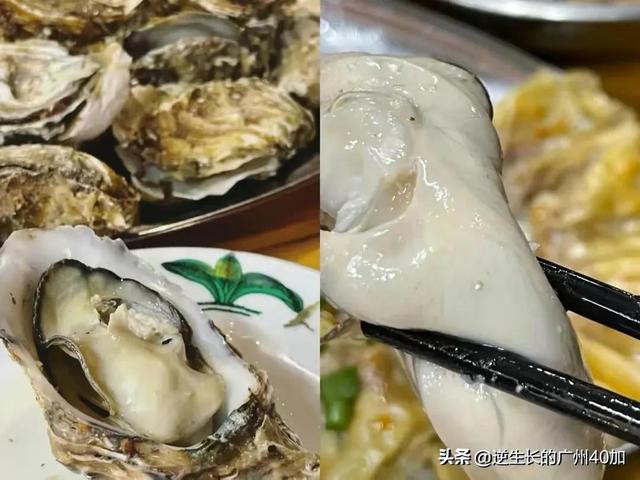 广州番禺吃海鲜，番禺哪里吃海鲜便宜好吃（20元超大碟广州最好吃神级蒸云吞）