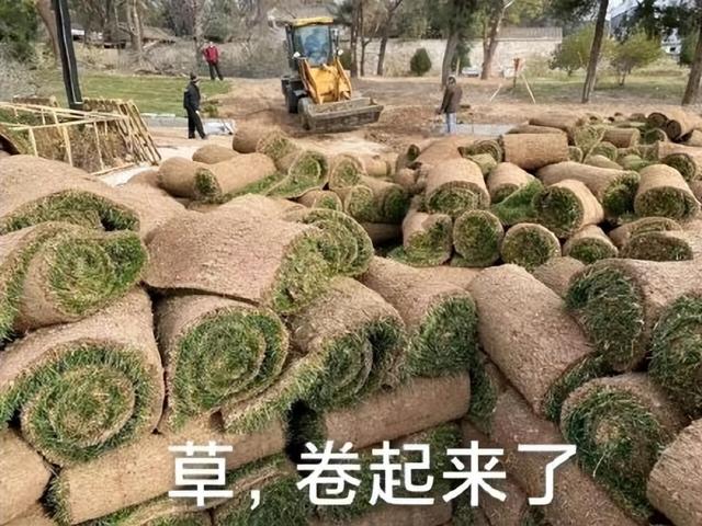 手机屏幕总是自己乱动怎么办，手机屏幕乱跳的解决办法（这些良心国产App）