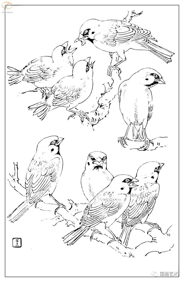 火的简笔画图片，火焰怎么画简笔画图片（画鸟参考——白描麻雀百图）