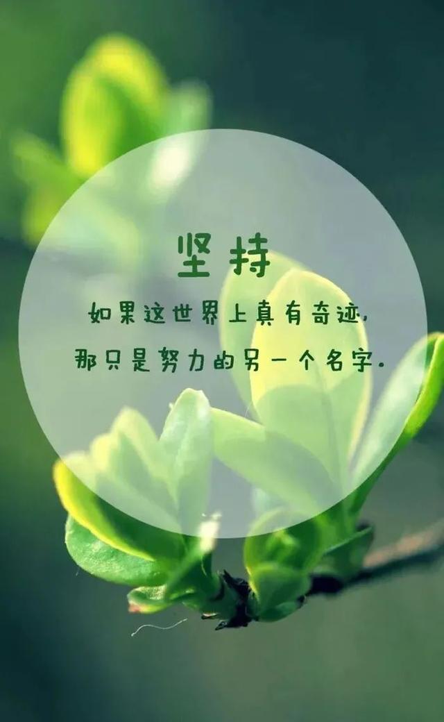 工作励志正能量文案，正能量满满的励志句子有哪些（早安心语，正能量努力工作文案）