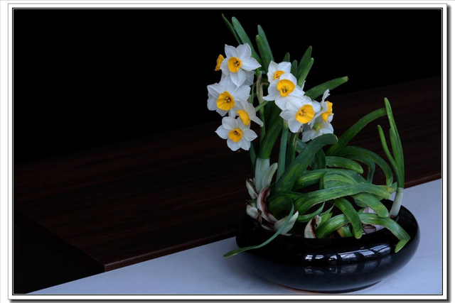 关于水仙花的传说，关于水仙花传说的故事（关于水仙花的美丽传说你知道吗）