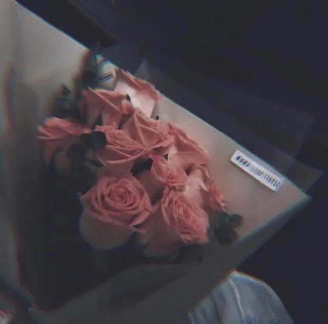 关于梦想的开头，关于梦想的优美的开头（惊艳很久的神仙作文开头和结尾）