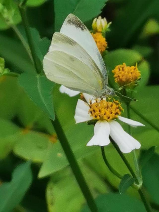 灵魂相似的人一旦相逢，灵魂相似的人一旦相逢是知心朋友（总有一天会在路上相逢）