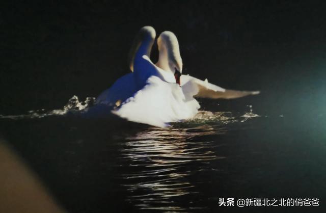 六月的不可思议，六月的不可思议头像（乌鲁木齐：六月物语图片）