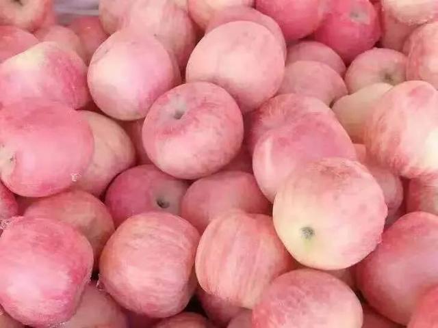 养生吃的食物有哪些东西，吃什么食物健康养生（对健康最有益的10种食物）