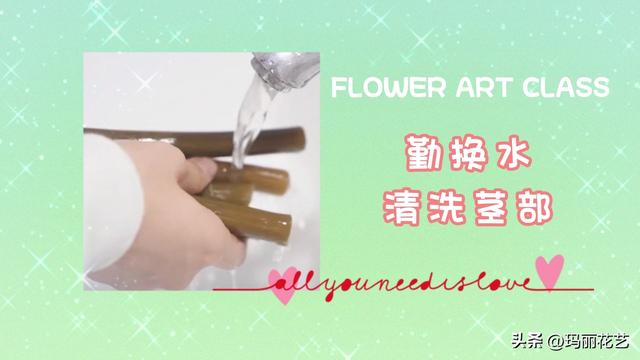 鲜花怎么醒花方法，醒花与不醒花的区别（鲜花睡莲怎么醒花）